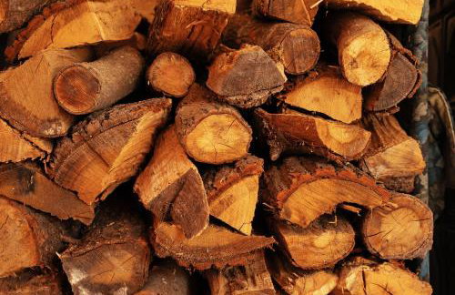 Die Spreewaldbetten - Bauernhof - Foto 8