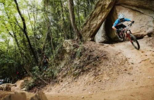 NIDO TRA GLI ULIVI - Foto 19