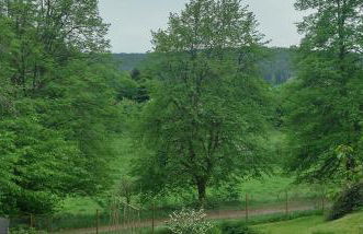 Seßles Waldhäuschen Dietzhausen - Photo 25