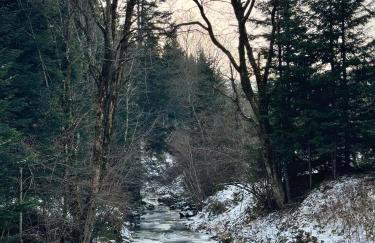 Bieszczady Beztroska Chata - Foto 52