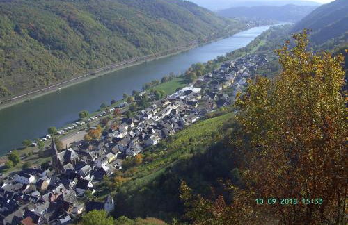 Moselblick - Foto 16
