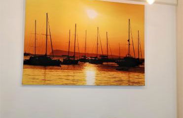 Calamilloraptm - Foto 9