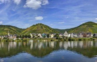 Springiersbacher Hof - Foto 42