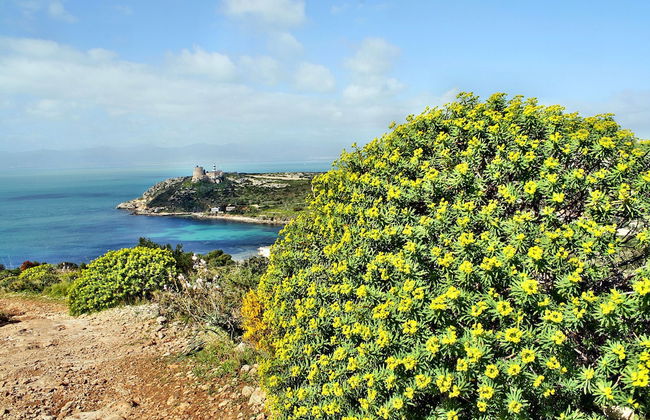 1 Ala Birdi Cottage Trilocale - Foto 17