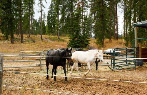 Rural Kettle Falls Bunkhouse with Airstrip and Trails! - Foto 19