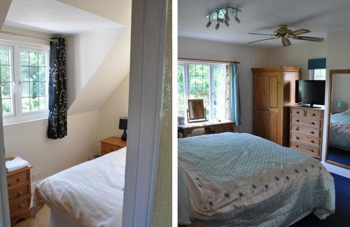 The Orchard - Photo 35