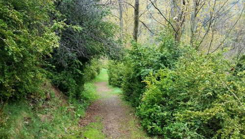 Les Forques de'n Pep - Foto 5