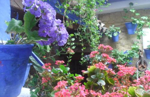 El patio azul Bohemio Mágico - Foto 54