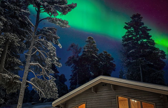 Arctic Verge - Foto 12