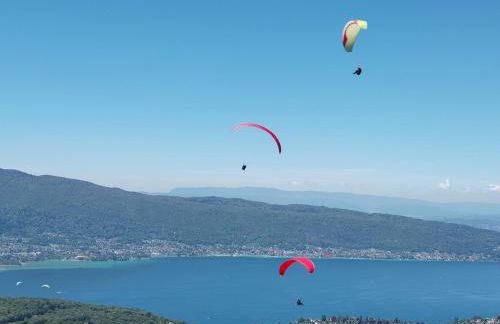Le Balcon du Laudon Au cœur de St Jorioz spacieux appartement avec terrasse et vue montagne - Photo 26