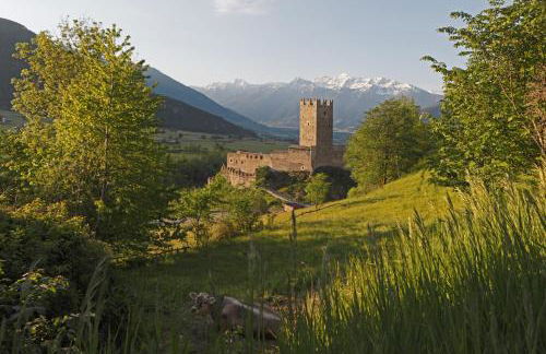 Garni Appartements Almrausch - Foto 35