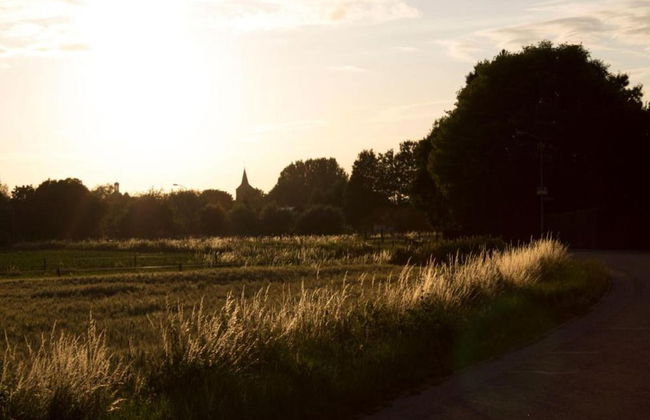 Villa in Nijmegen With VIP Amenities - Foto 31