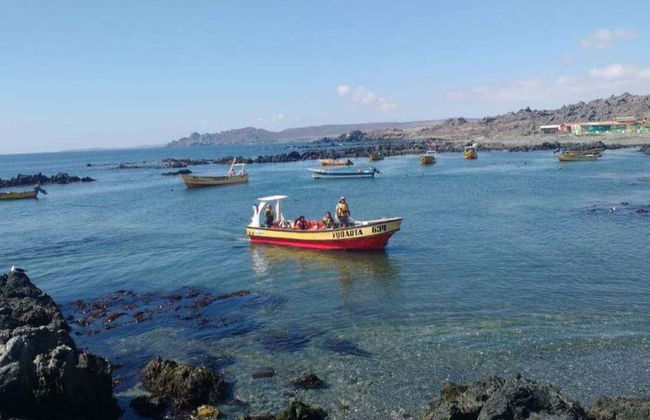 Avistamiento de ballenas en Chañaral de Aceituno - Foto 1