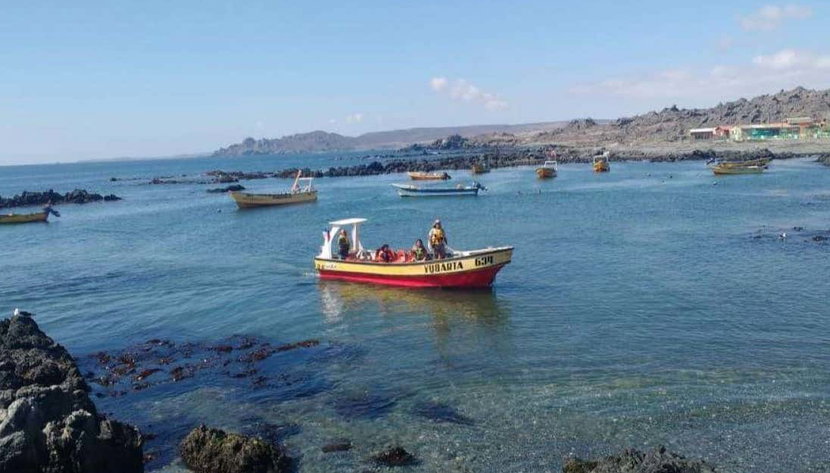 Chañaral de Aceituno Whale Watching - Photo 2, Admire Chañaral de Aceituno