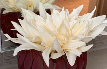 Businesswohnungen Haag bei A7 - Foto 46