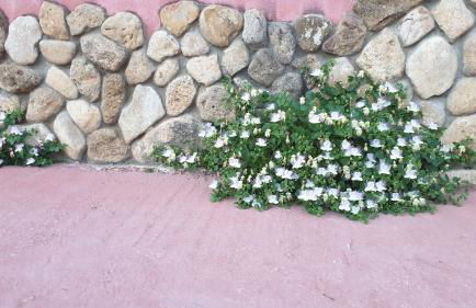 Agriturismo Duca Di San Martino - Foto 43