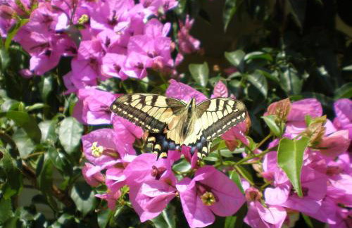 Oaza Tribunj Sea View - Foto 43