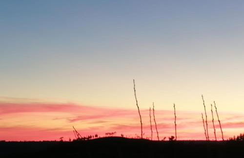 Villa dos Pensamentos - Foto 19