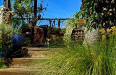 Bosko beztrosko - Foto 15