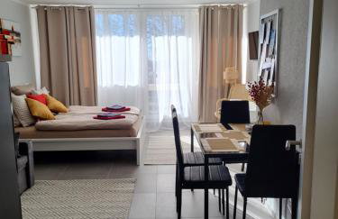 Bergzauber Bayerwald - voll ausgestattetes Familienapartment mit Pool - Foto 53