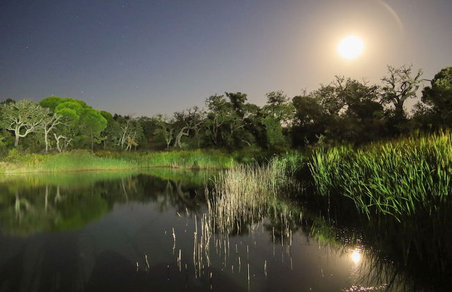 Monte Sardinha - Foto 53