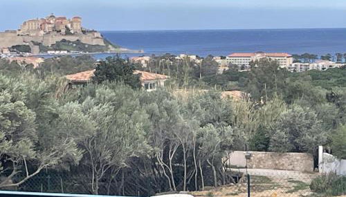 Domaine DI AMUVRELLA - Foto 4