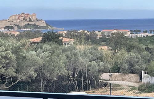 Domaine DI AMUVRELLA - Foto 4