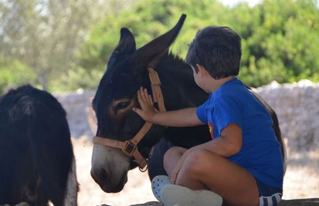 Tenuta Deserto - Foto 41