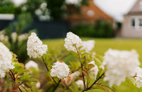 Küsten Suite de Diek - Suite 1 direkte Deichlage, Terrasse, 53qm - Photo 36