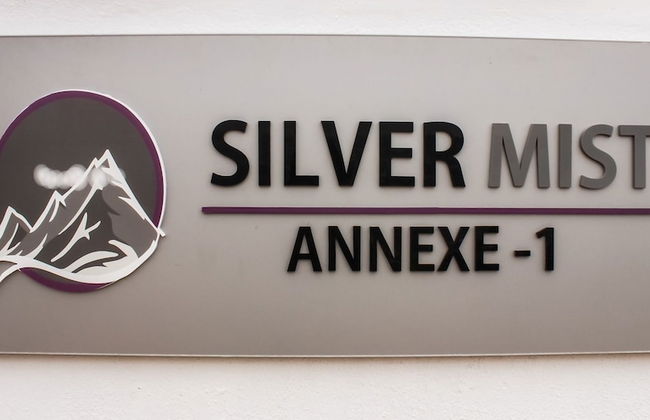 Silver Mist - Foto 31