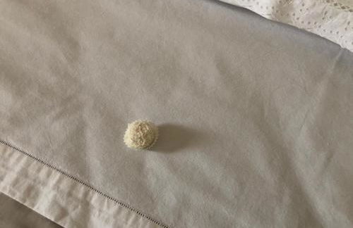 Riva dei fiori - Foto 20