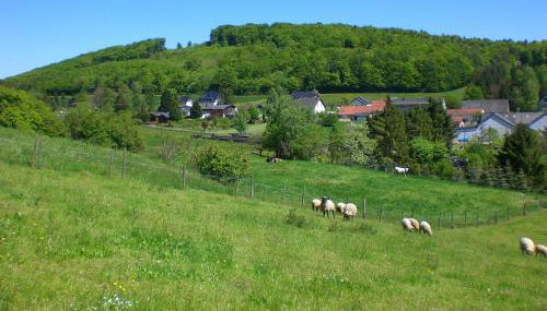 Ferienhof An der Lay - Foto 5
