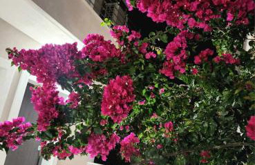 Exotic Apartments Nikiti - Photo 26