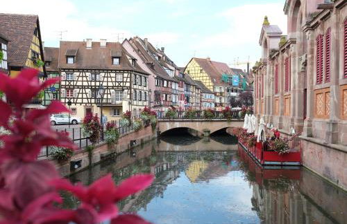 Les Suites Du Cygne - Foto 37