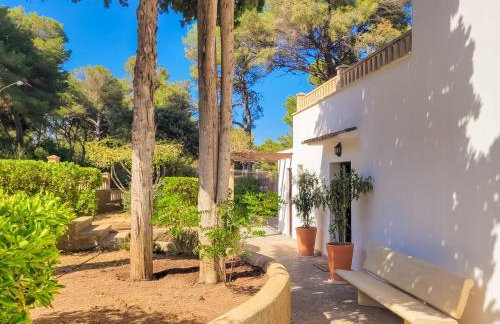 Cabrer Canet - Foto 46