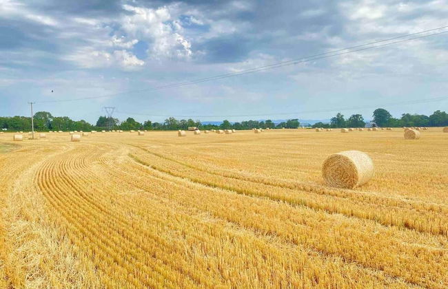 Countryside Home Located Just Outside Dublin City - Foto 26