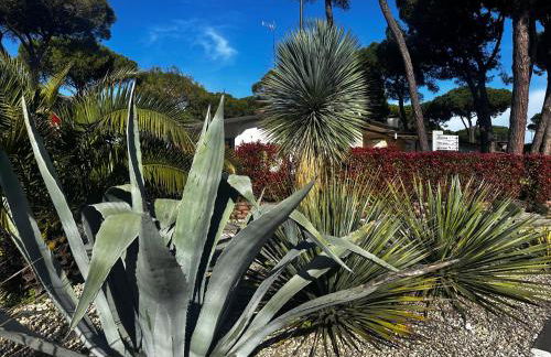 Villa Seashell - Foto 60