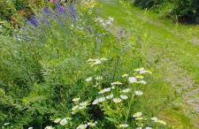 Chalet au bois des écureuils classé trois étoiles. - Foto 21