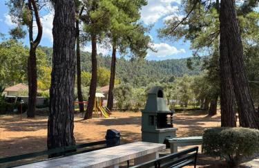 Nisteri Seaside - Photo 29