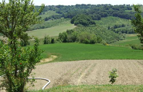 Predio Potantino - Foto 23