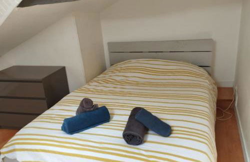 Hypercentre, proche halage et rue principale - Foto 2