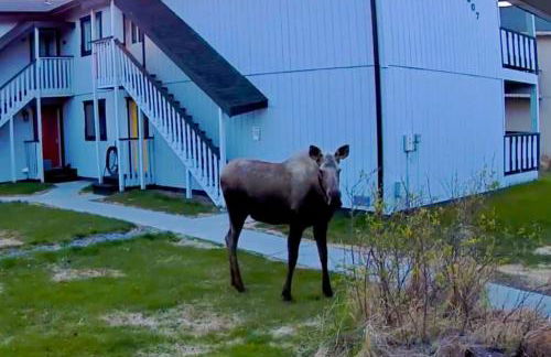 Sneaky Moose Townhome 2BR 2BA - Foto 36