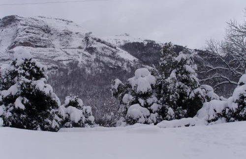 Lou cridadé - Foto 11