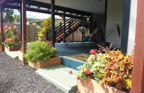 Hale Mapuana - Foto 10