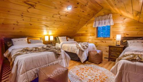 The Bear's Den - Foto 5