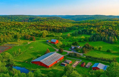 Romantic Cottage and Suite Close to Ski Trails - Foto 28