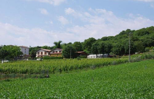 Agriturismo Casa Villi - Foto 19