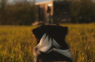 Parcel Tiny House Vallée, près de Verdun - Foto 11