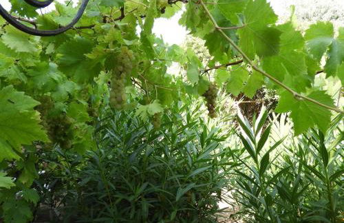 Casa Costa Corallina Mare - Photo 26