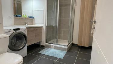 Superbe T2 proche de la Gare RER TGV Massy Palaiseau - Foto 4, towels, Shower